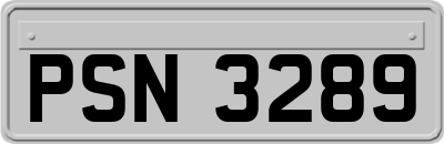 PSN3289
