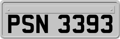 PSN3393