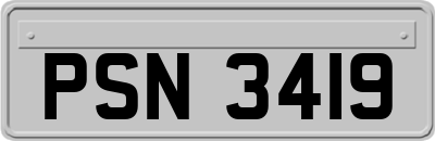 PSN3419