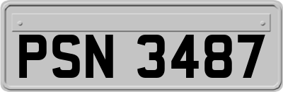 PSN3487