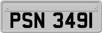 PSN3491