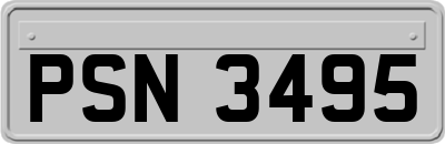 PSN3495
