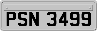 PSN3499