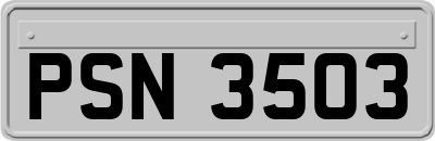 PSN3503