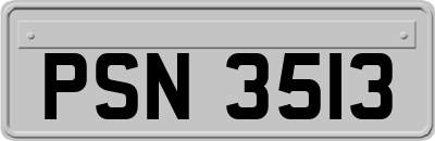 PSN3513