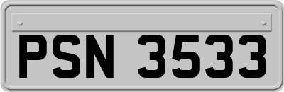 PSN3533