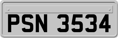PSN3534
