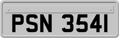 PSN3541