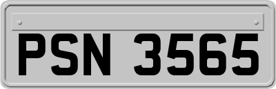 PSN3565