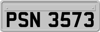 PSN3573