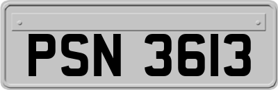 PSN3613