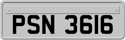 PSN3616