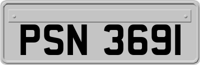 PSN3691