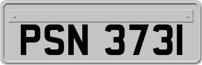 PSN3731