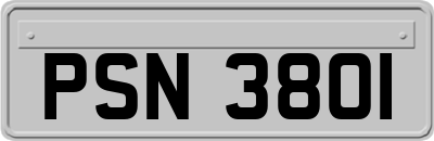 PSN3801