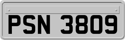 PSN3809