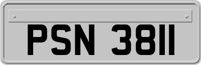 PSN3811
