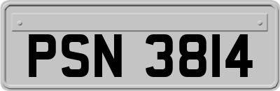 PSN3814