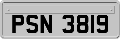 PSN3819