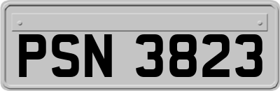 PSN3823