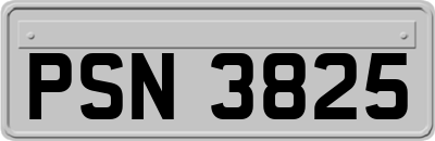 PSN3825