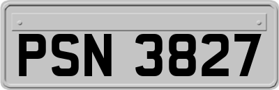 PSN3827