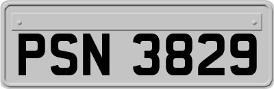 PSN3829