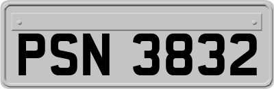 PSN3832