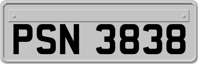 PSN3838