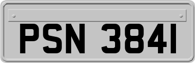 PSN3841
