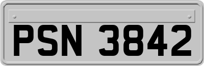PSN3842