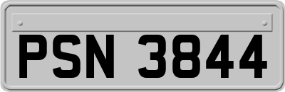 PSN3844