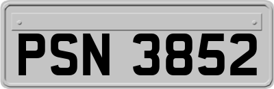 PSN3852
