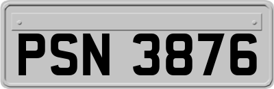 PSN3876
