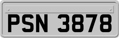 PSN3878