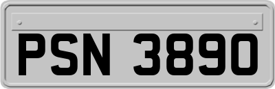 PSN3890