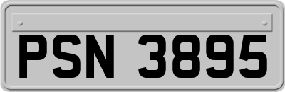 PSN3895