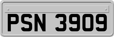 PSN3909