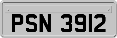 PSN3912