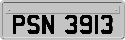 PSN3913