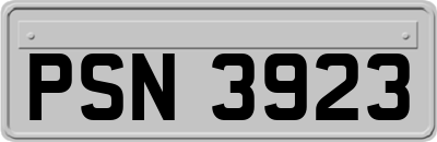 PSN3923