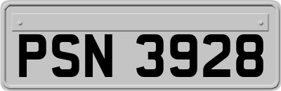 PSN3928