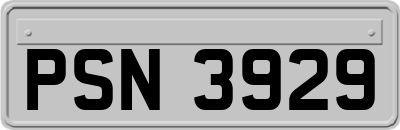 PSN3929