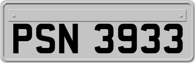 PSN3933