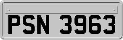 PSN3963