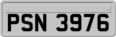 PSN3976