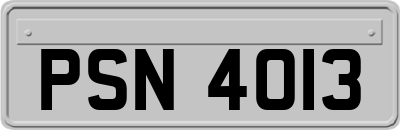 PSN4013