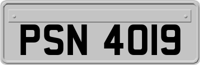 PSN4019