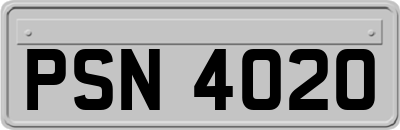 PSN4020