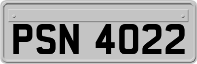 PSN4022